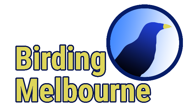 Birding Melbourne